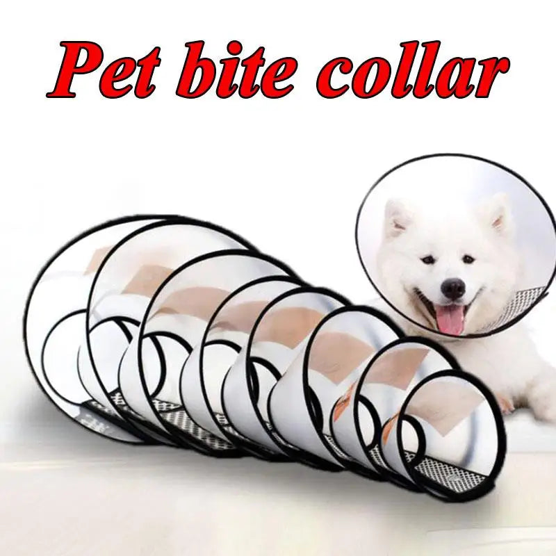 Elizabeth Anti-Bite Pet Dog Collar