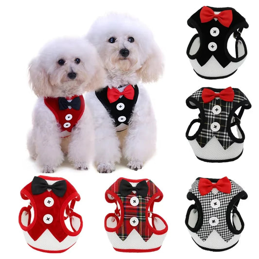 Elegant Bowtie Dog Harness Vest Set