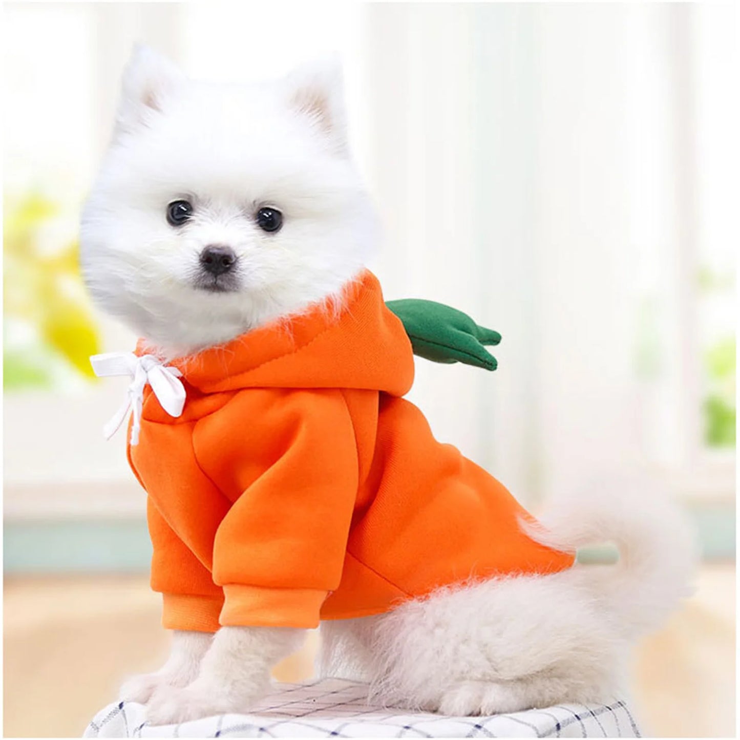 Dog Hoodie - Cute Carrot Frog Fleece Coat