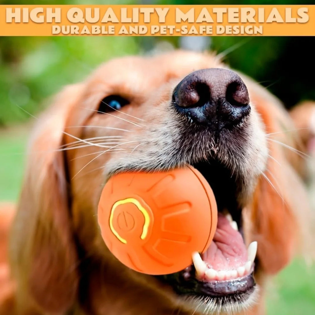 Pet Ball Smart Bouncing Ball For Dogs and Cats