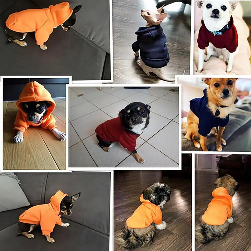 Winter Dog Hoodie Sweatshirt Jacket