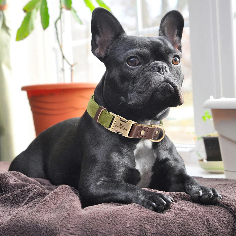 Custom PU Leather Dog Collar with Engraved ID