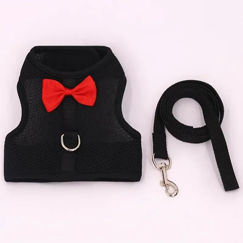 Adjustable Bunny Harness and Leash Set
