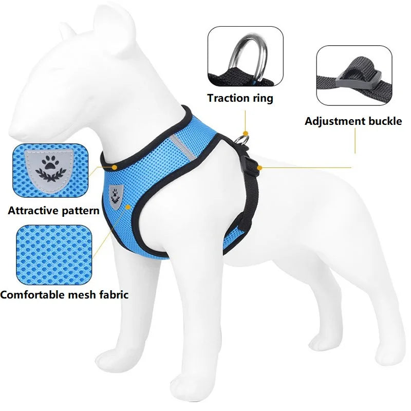 Cat Leash and Harness Set - Anti Escape Pet Vest