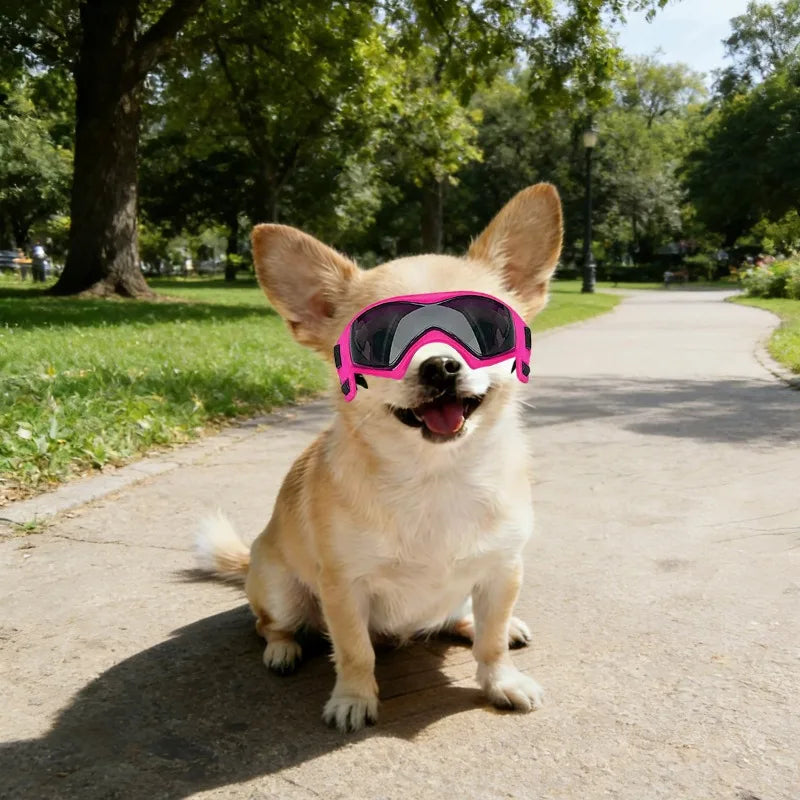DKSTINYE UV Protective Dog Sunglasses for Small Pets by High Life Style Gadgets