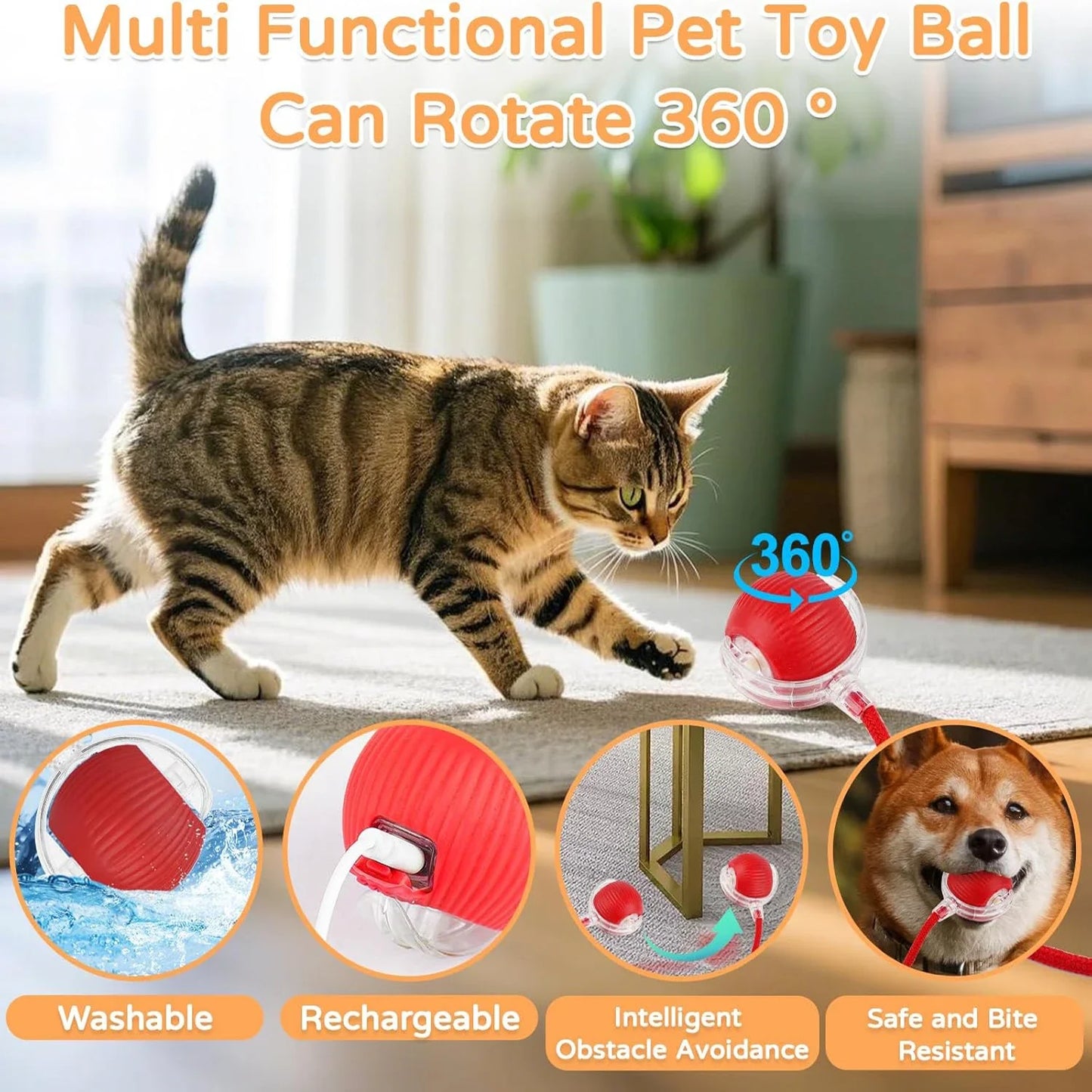 Interactive Cat Ball Toy