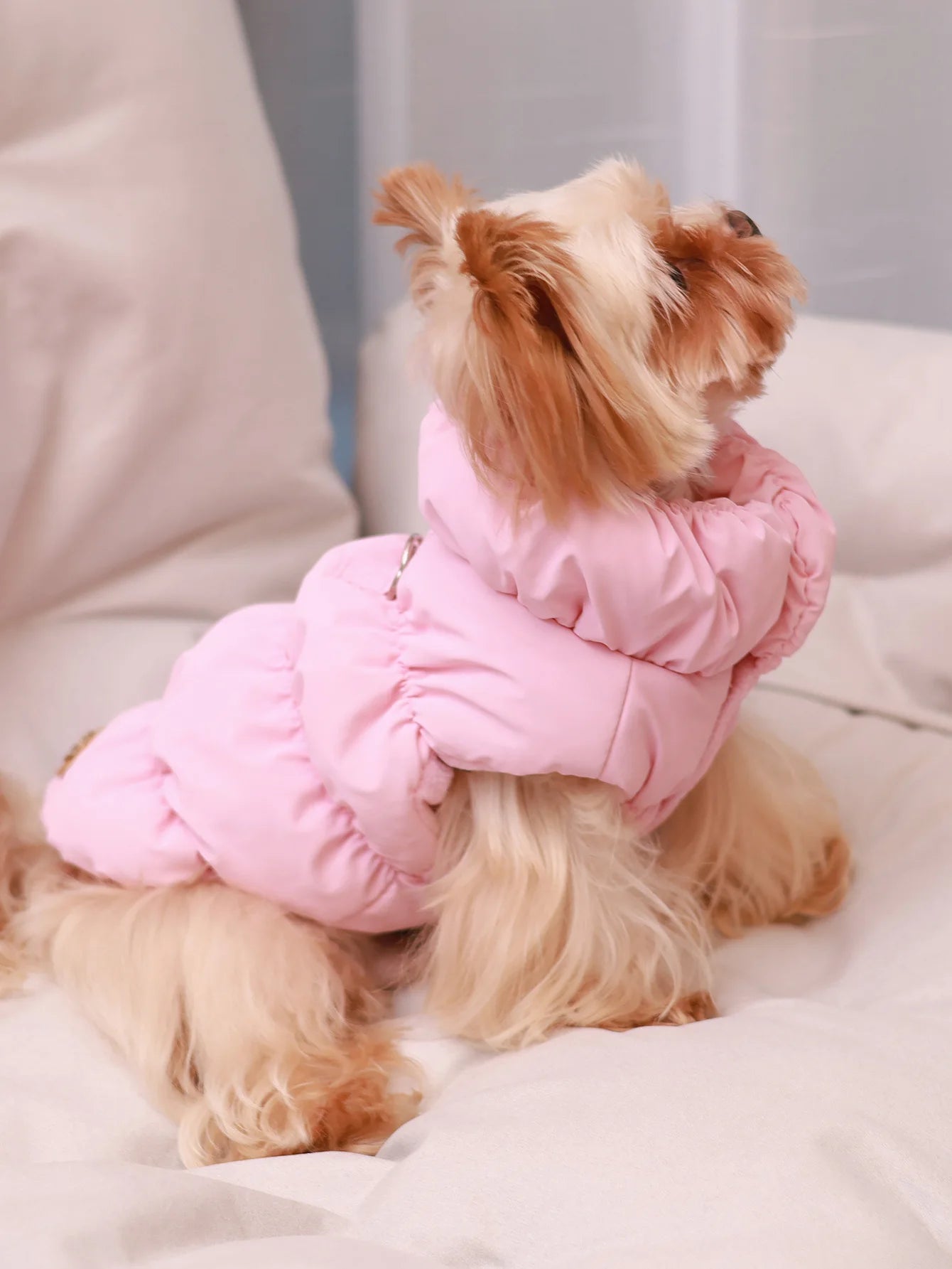 Dog Jacket – 3-Layer Warm Pet Coat