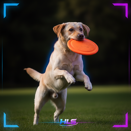 Silicone Dog Flying Disk