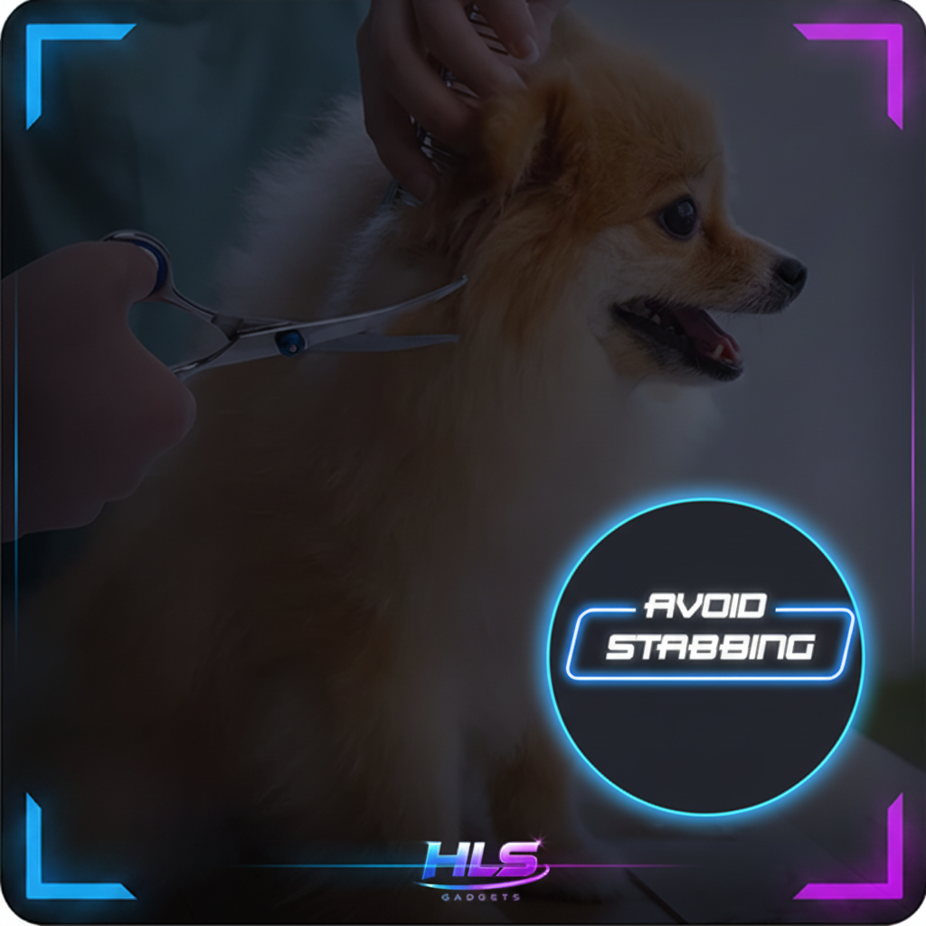 Pomeranian Grooming - Avoid Stabbing