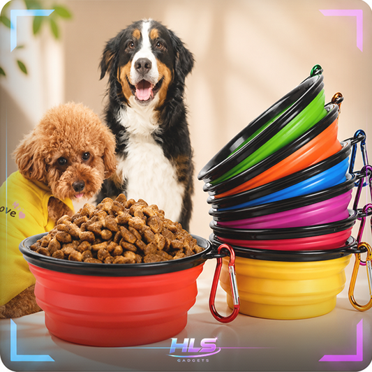 Collapsible Dog Bowl