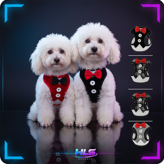 Two Poodles
